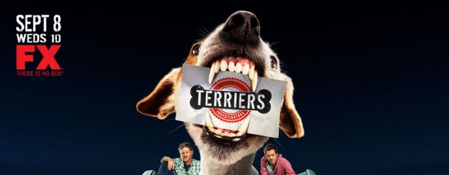 
Terriers

